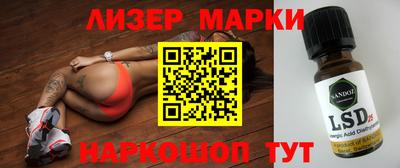 крисы Камышлов