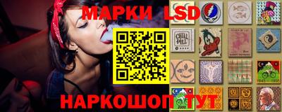 крисы Камышлов