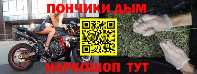 крисы Камышлов